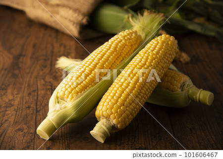 玉米 玉米 101606467