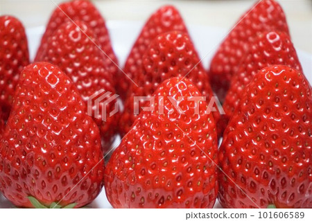 Strawberry strawberry strawberry Strawberry strawberry strawberry 101606589