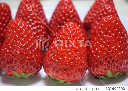 Strawberry strawberry strawberry 101606590