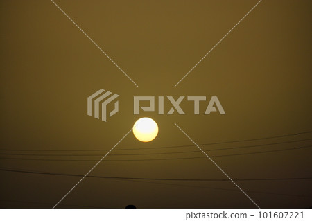 黃色朦朧的天空和電線剪影 101607221