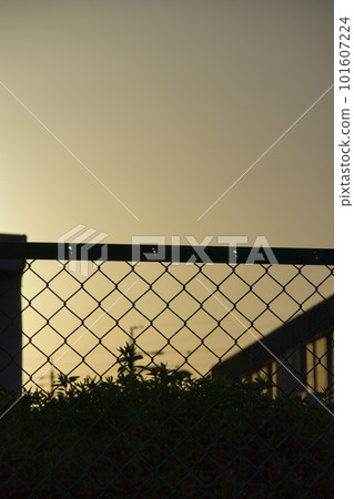 黃色朦朧的天空和電線剪影 101607224