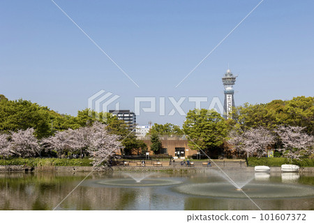 Tsutenkaku repainted during renovation work at Tennoji Park's riverside pond with cherry blossoms (April 1, 2023) Tsutenkaku repainted during renovation work at Tennoji Park's riverside pond with cherry blossoms (April 1, 2023) 101607372