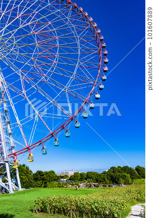 Kasai Rinkai Park's Diamond and Flower Ferris Wheel [ Image of a Ferris wheel ] 101607889
