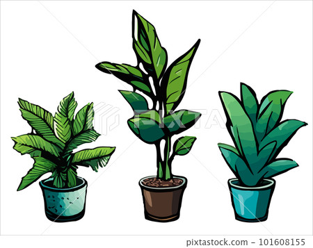 Potted leaf and flower plants set. Houseplants, succulents, cactus, ficus, monstera growing in planters, flowerpots, vase. Home green decoration. 101608155