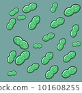 Cyanobacteria: Synechococcus vector 101608255