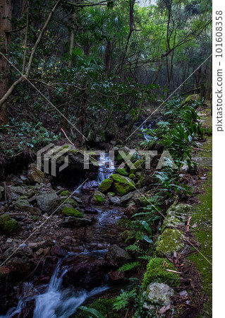 Guanyin River 101608358