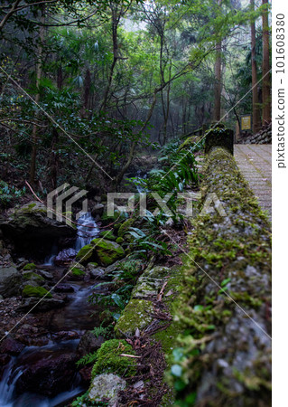 Guanyin River 101608380