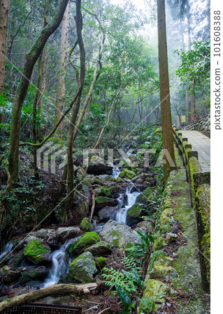 Guanyin River 101608388