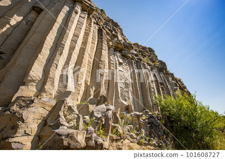 Volcanic basalt coloumn 101608727