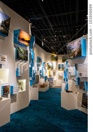 Shikoku Seiyo Geo Museum Exhibition Room 101608899