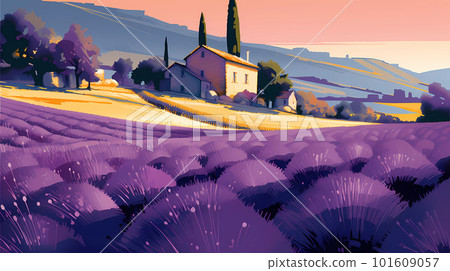 Illustration of beautiful blooming lavender fields in Provence, France 101609057