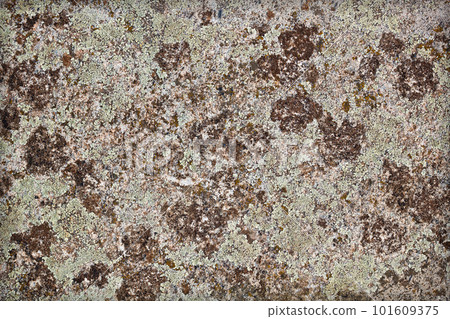 Aged wall texture Aged wall texture 101609375