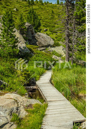 Wooden tourist path Wooden tourist path 101609386
