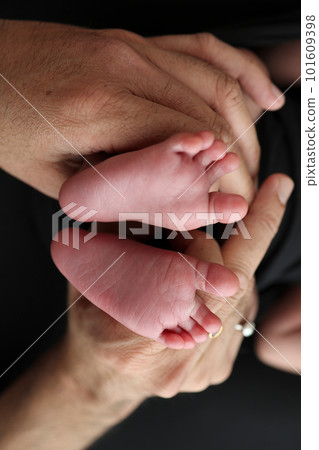 A mother hold the feet of a newborn child in a black blanket on a Black background. The feet of a newborn in the hands of parents. Studio macro photo legs, toes, feet and heels of a newborn. A mother hold the feet of a newborn child in a black blanket on a Black background. The feet of a newborn in the hands of parents. Studio macro photo legs, toes, feet and heels of a newborn. 101609398