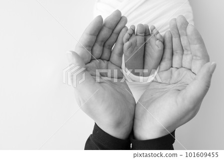 Black and white shade beautiful shape hands of mother, hold tiny newborn baby feet on black background with love, care, family safety and protection, child with premature birth concept or NICU care 101609455