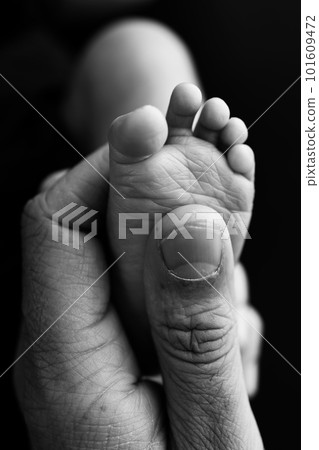 Close up baby feet in mother hands on a black background. Prevention of flat feet, development, muscle tone, dysplasia.Mother is doing massage on her baby foot.Black and white photo.  101609472