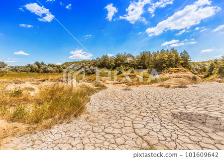 Cracked mud Cracked mud 101609642