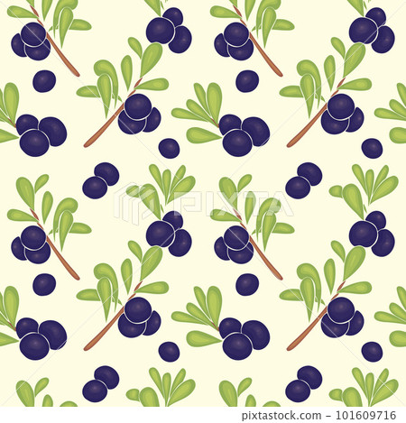 Pattern with blueberry branches hand drawing, no outline. 101609716