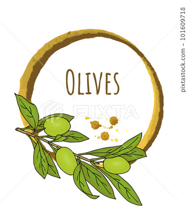 Watercolor frame with branch of green olives. Drawn by hand. For design labels, stickers. 101609718