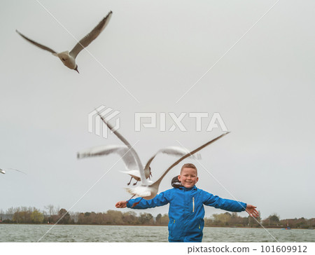 Happy kid is playing with seagulls in summer beach. School child boy chasing birds in the sea beach in Poole, Dorset, UK. Renewable energies and sustainable resources. Wind Happy kid is playing with seagulls in summer beach. School child boy chasing birds in the sea beach in Poole, Dorset, UK. Renewable energies and sustainable resources. Wind 101609912