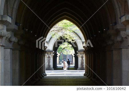 Walk the corridors of the University of Tokyo. Walk the corridors of the University of Tokyo. 101610042