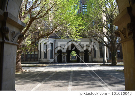Walk the corridors of the University of Tokyo. Walk the corridors of the University of Tokyo. 101610043