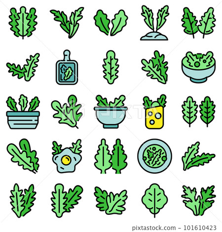 Arugula icons set. Outline set of arugula vector icons thin line color flat on white Arugula icons set. Outline set of arugula vector icons thin line color flat on white 101610423