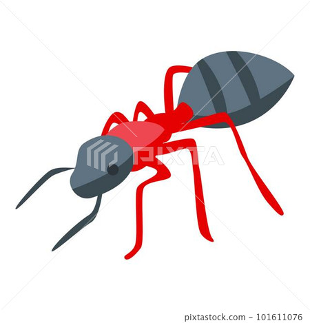 Grass ant icon. Isometric of grass ant vector icon for web design isolated on white background Grass ant icon. Isometric of grass ant vector icon for web design isolated on white background 101611076