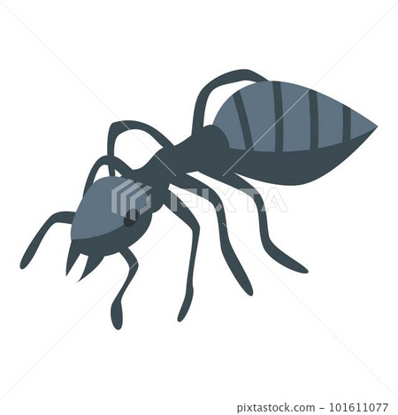Black ant icon. Isometric of black ant vector icon for web design isolated on white background 101611077