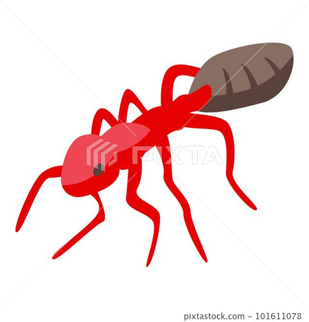 Red ant icon. Isometric of red ant vector icon for web design isolated on white background Red ant icon. Isometric of red ant vector icon for web design isolated on white background 101611078