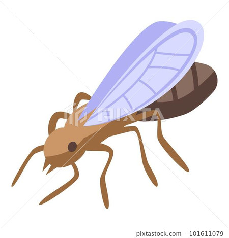 Ant fly icon. Isometric of ant fly vector icon for web design isolated on white background Ant fly icon. Isometric of ant fly vector icon for web design isolated on white background 101611079