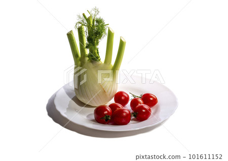 Fennel plant on a plate with tomatoes on a white background 101611152