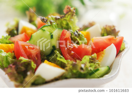 Boiled egg and colorful vegetable salad 101611683