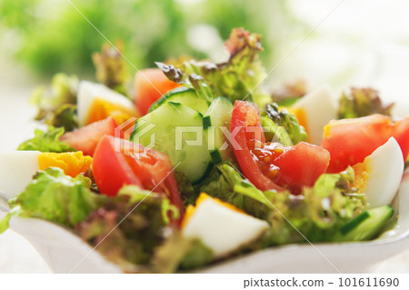 Boiled egg and colorful vegetable salad Boiled egg and colorful vegetable salad 101611690