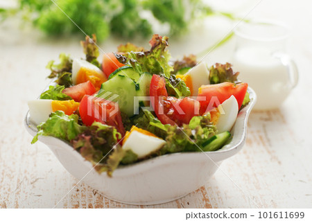 煮雞蛋和五顏六色的蔬菜沙拉 煮雞蛋和五顏六色的蔬菜沙拉 101611699