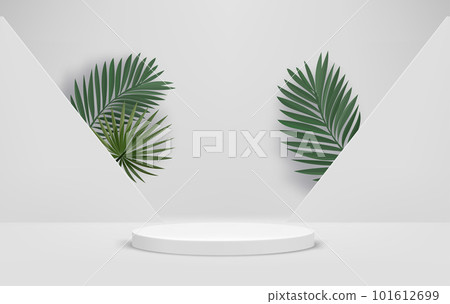 Bright interior with portal, podium and green leaves. Eco friendly product showcase template. 3d vector background 101612699