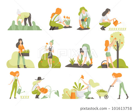 Woman Garden Worker Planting, Harvesting, Watering and Cultivating Crop Vector Set Woman Garden Worker Planting, Harvesting, Watering and Cultivating Crop Vector Set 101613758