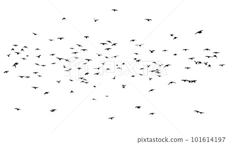 A flock of flying birds. Free birds. Vector illustration A flock of flying birds. Free birds. Vector illustration 101614197