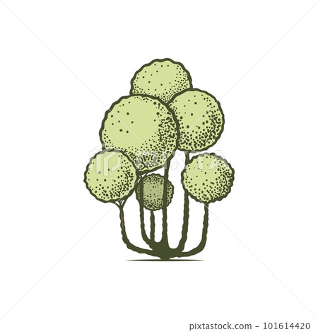 Topiary pictogram vector sketch shearing plants icon 5 101614420