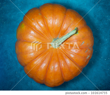Big pumpkin on a dark background. Vegetables on the table. Preparing for Halloween. Big pumpkin on a dark background. Vegetables on the table. Preparing for Halloween. 101614735