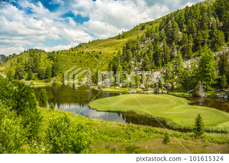 Alpine landscape 101615324