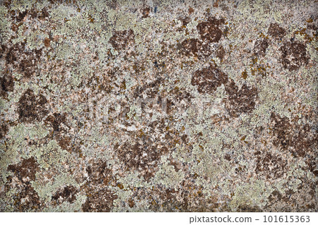 Aged wall texture Aged wall texture 101615363