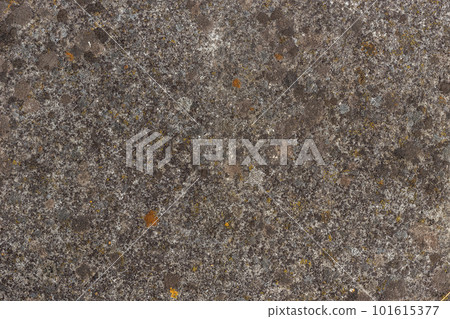 Cement wall Cement wall 101615377