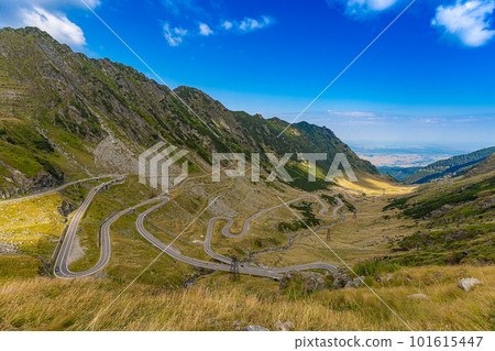 Serpentine road 101615447