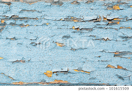 Wood background 101615509