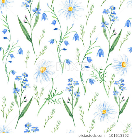Seamless watercolor pattern with wildflowers bluebell, forget-me-not, camomile on white background. Can be used for fabric prints, gift wrapping paper, kitchen textile. Seamless watercolor pattern with wildflowers bluebell, forget-me-not, camomile on white background. Can be used for fabric prints, gift wrapping paper, kitchen textile. 101615592