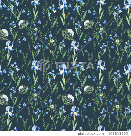 Seamless watercolor pattern with wildflowers bluebell, forget-me-not, iris, Queen Annes lace on dark blue background. Can be used for fabric prints, gift wrapping paper, kitchen textile. Seamless watercolor pattern with wildflowers bluebell, forget-me-not, iris, Queen Annes lace on dark blue background. Can be used for fabric prints, gift wrapping paper, kitchen textile. 101615593