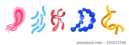 Colorful Virus and Microbes of Different Shape Vector Set 101615706