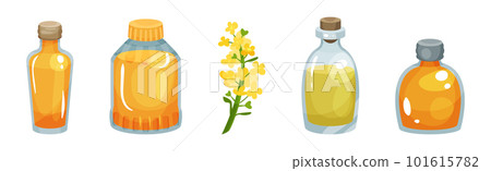 Vegetarian Rapeseed Oil Glass Bottles with Cork Vector Set Vegetarian Rapeseed Oil Glass Bottles with Cork Vector Set 101615782