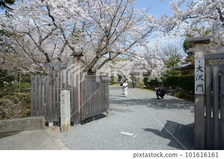 Spring Osawa Pond entrance, Saga, Ukyo Ward, Kyoto City 101616161